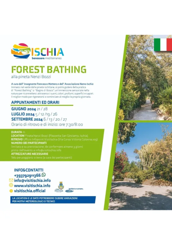 Forest Bathing Ischia