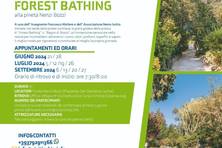 Forest Bathing Ischia